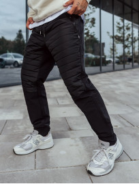 Pantaloni izolați Staff ap microfleece black